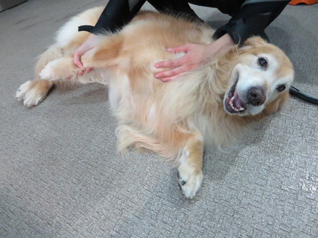 ファイル 5089-2.jpg