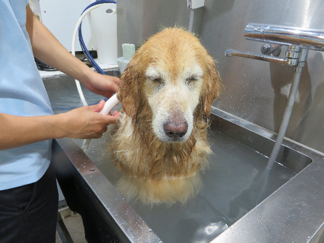 ファイル 5089-5.jpg