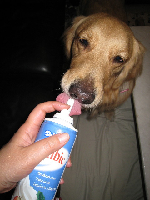 ファイル 509-5.jpg