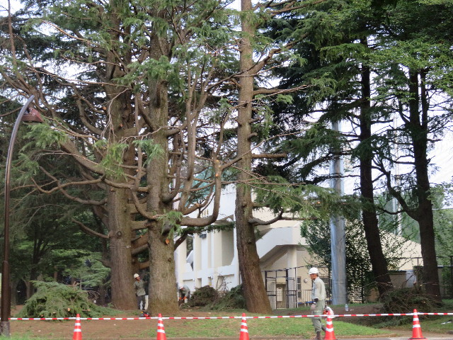 ファイル 5091-2.jpg