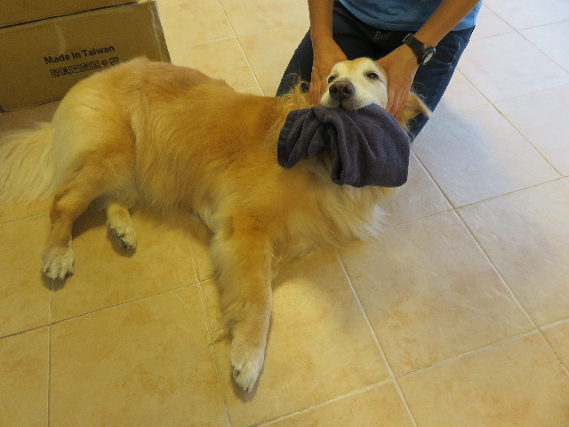 ファイル 5091-5.jpg