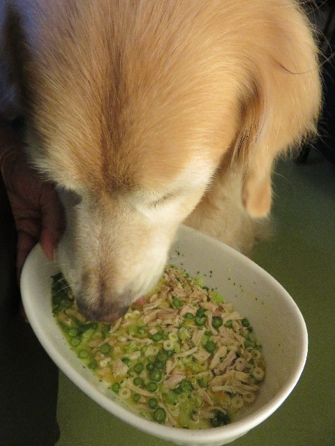 ファイル 5092-4.jpg