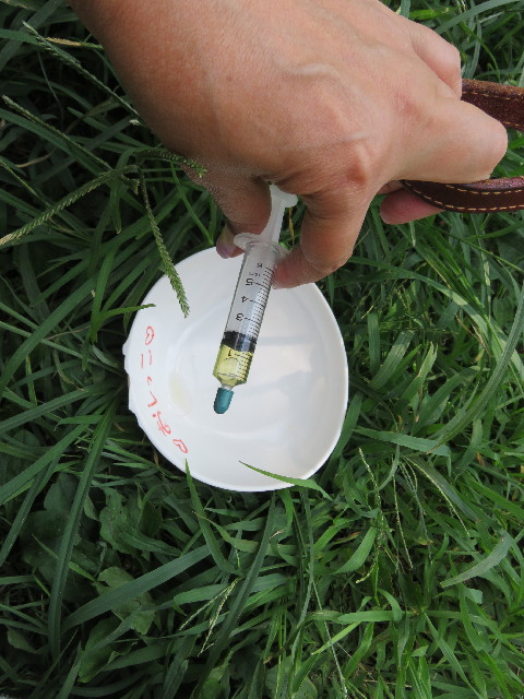 ファイル 5094-5.jpg