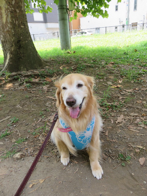 ファイル 5097-1.jpg