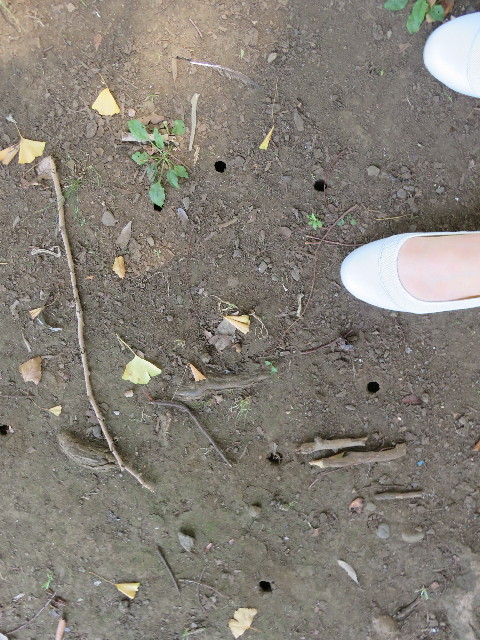 ファイル 5097-3.jpg