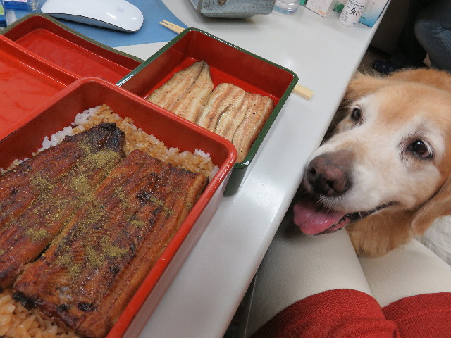 ファイル 5098-2.jpg