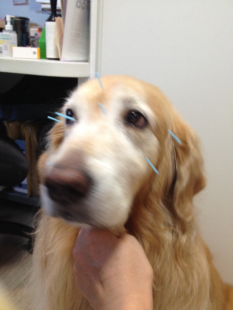 ファイル 5099-2.jpg