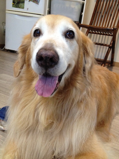 ファイル 5099-4.jpg