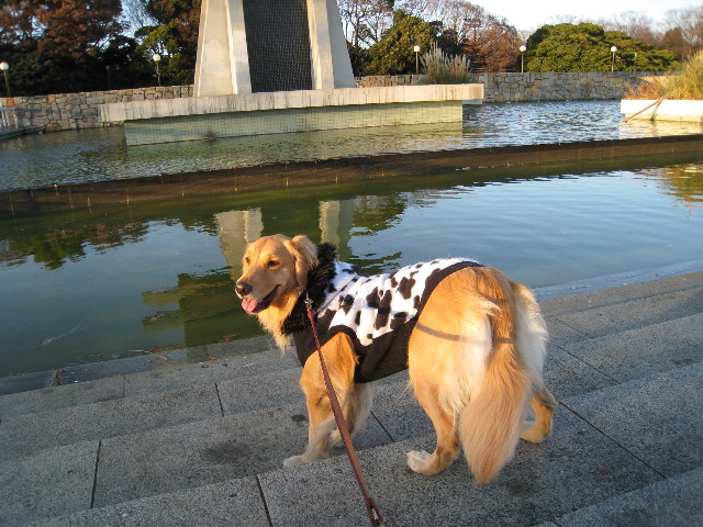 ファイル 510-4.jpg