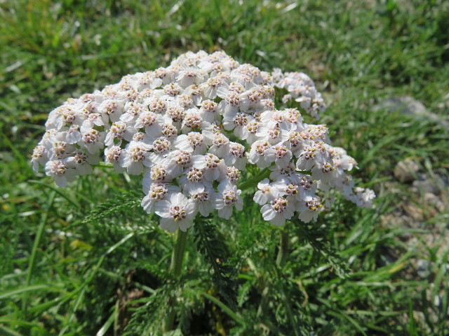 ファイル 5103-5.jpg