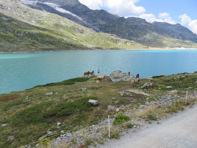 ファイル 5105-1.jpg