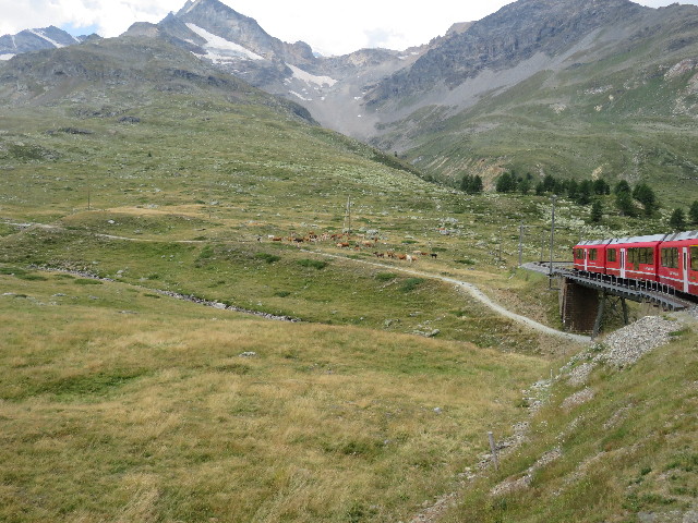 ファイル 5105-2.jpg