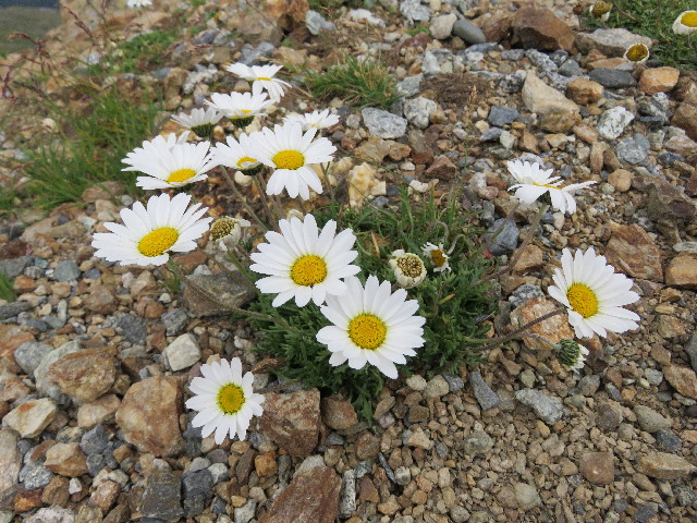 ファイル 5108-3.jpg