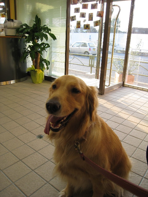 ファイル 511-1.jpg