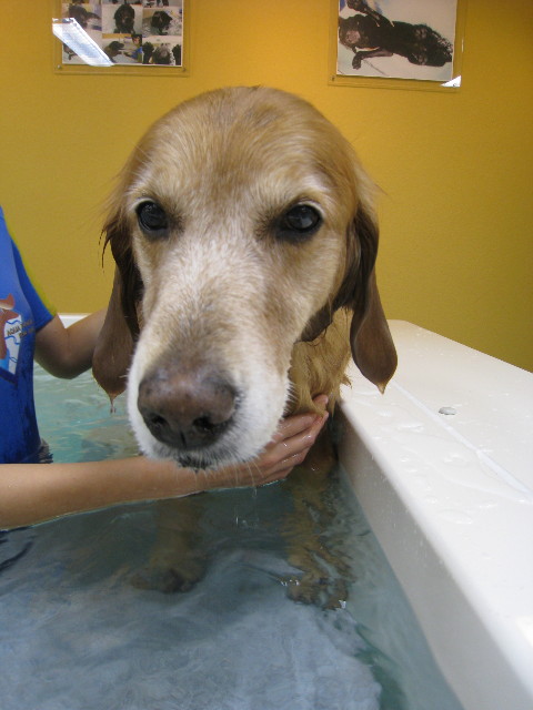 ファイル 511-3.jpg