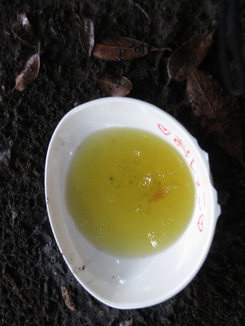 ファイル 5110-1.jpg