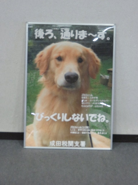 ファイル 5111-1.jpg