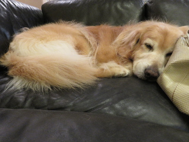 ファイル 5111-4.jpg