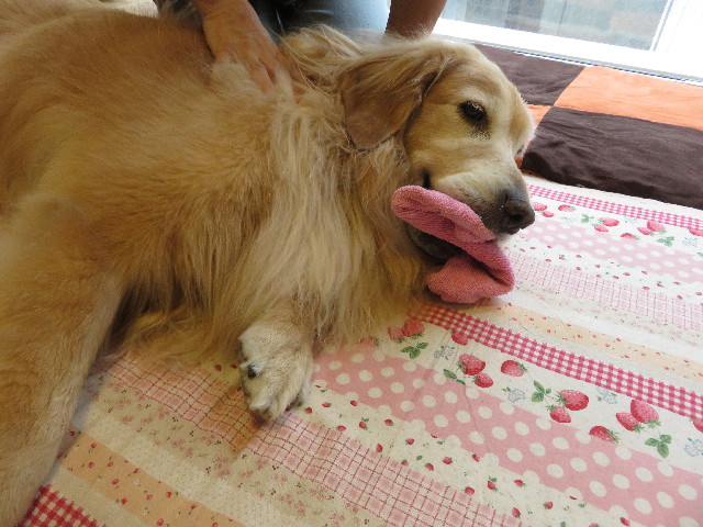 ファイル 5113-5.jpg