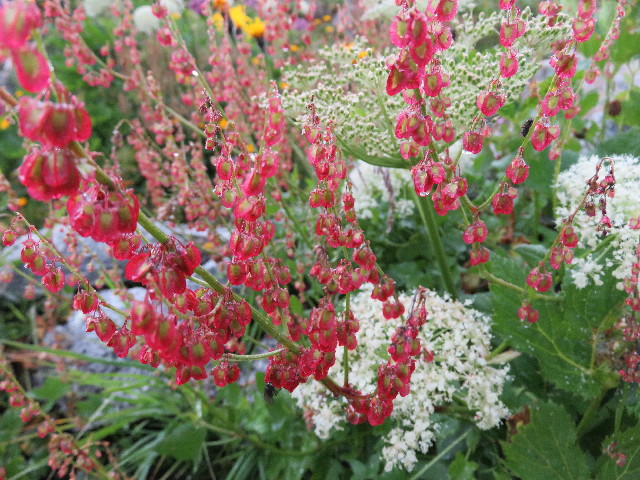 ファイル 5117-3.jpg