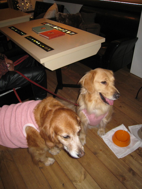 ファイル 512-3.jpg