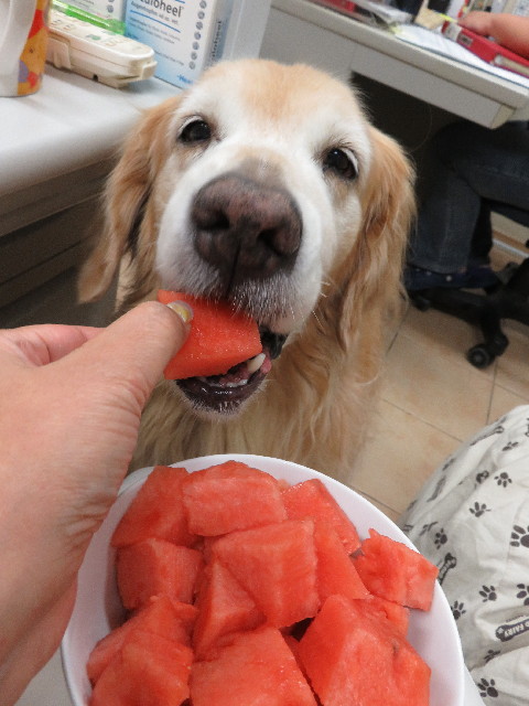 ファイル 5121-4.jpg