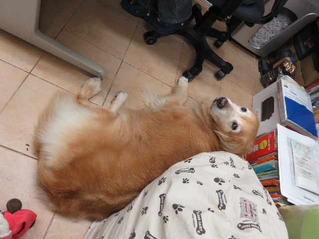 ファイル 5122-1.jpg