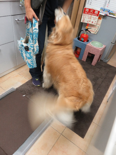 ファイル 5122-2.jpg