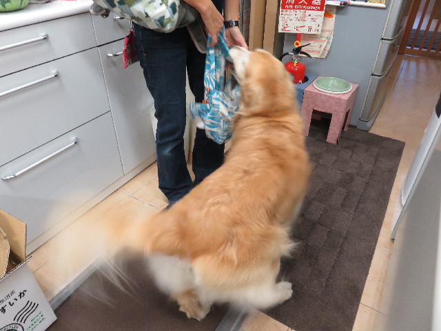 ファイル 5122-3.jpg