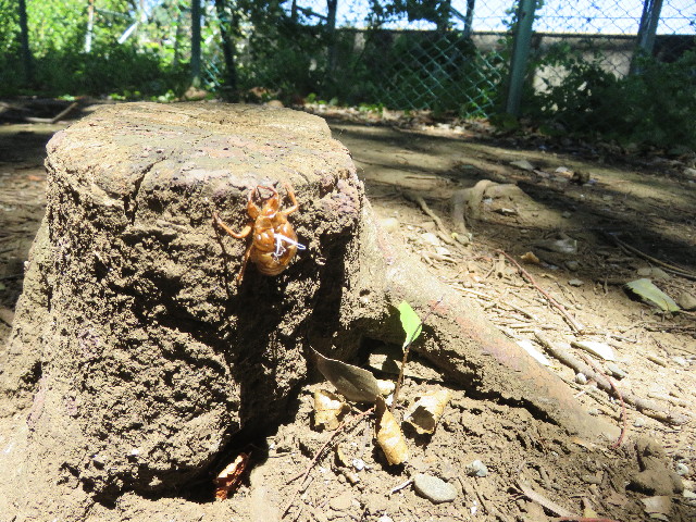 ファイル 5122-5.jpg