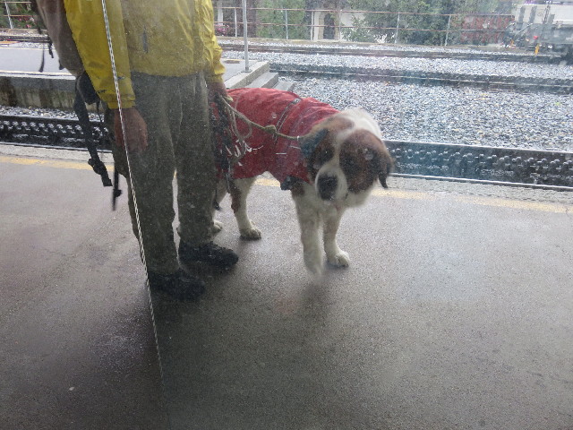 ファイル 5123-5.jpg