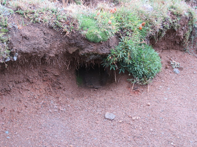 ファイル 5126-5.jpg