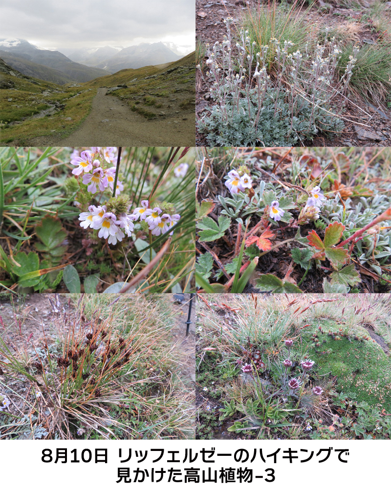 ファイル 5127-3.jpg