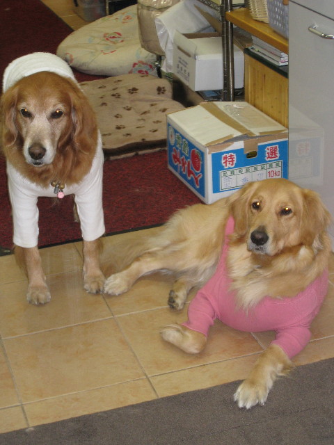 ファイル 513-1.jpg