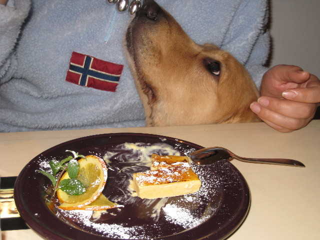 ファイル 513-4.jpg