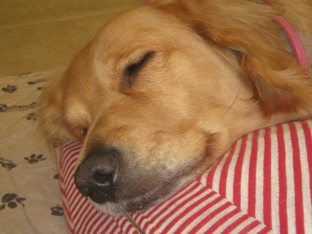 ファイル 513-5.jpg