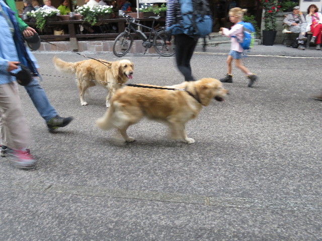 ファイル 5132-5.jpg