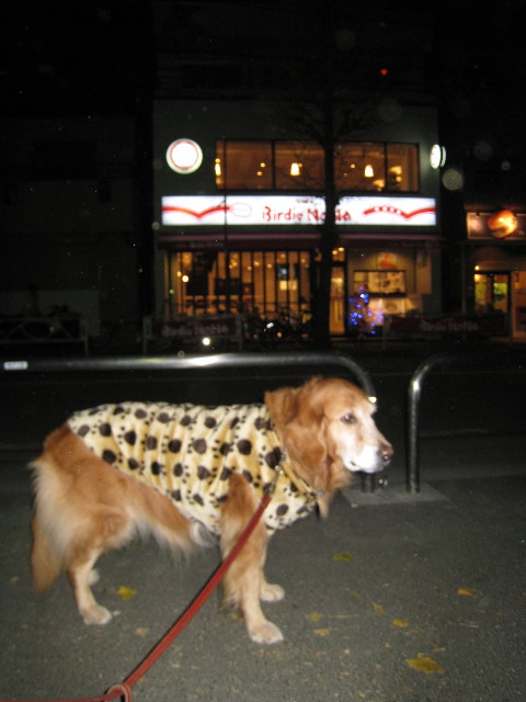 ファイル 514-1.jpg