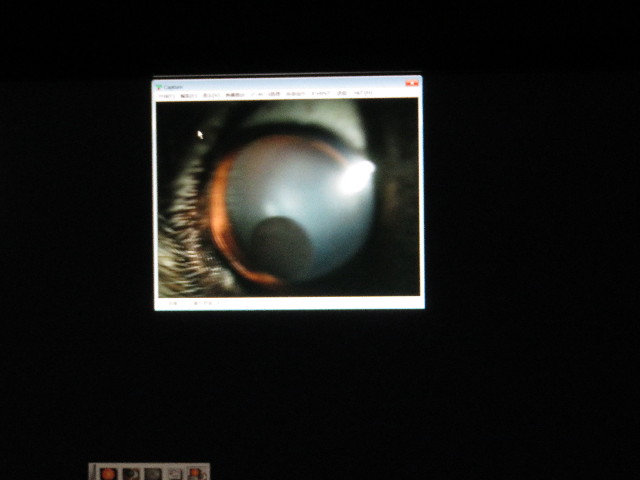 ファイル 5141-1.jpg