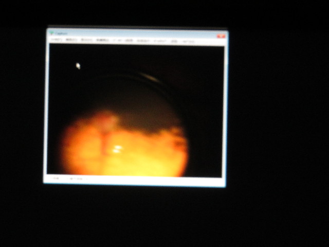 ファイル 5141-2.jpg