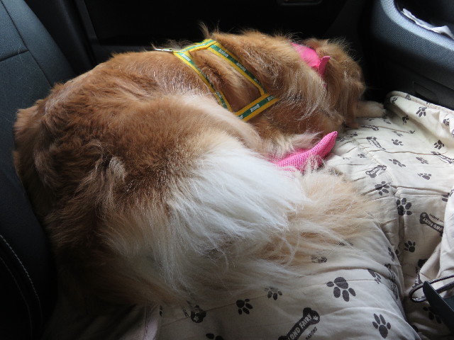 ファイル 5141-5.jpg