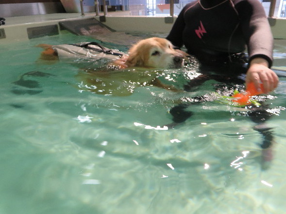 ファイル 5142-2.jpg