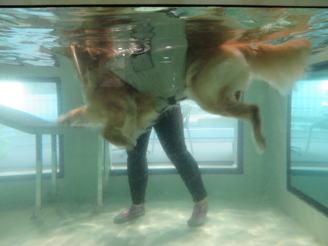 ファイル 5142-3.jpg