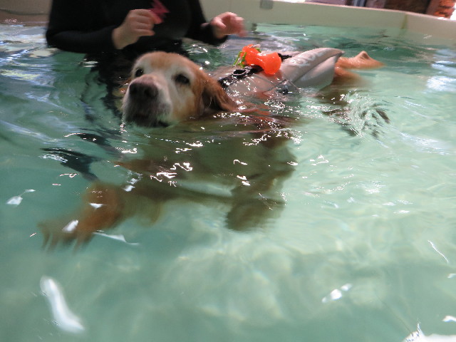 ファイル 5142-4.jpg