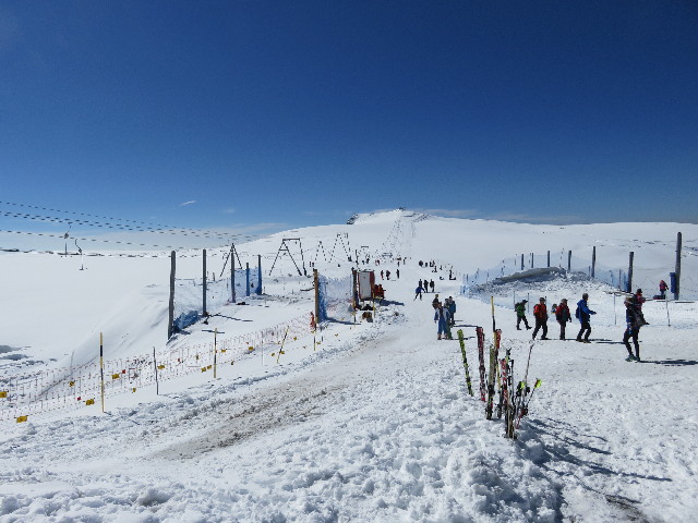 ファイル 5143-1.jpg