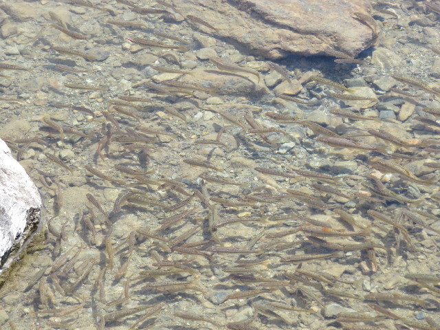 ファイル 5149-3.jpg