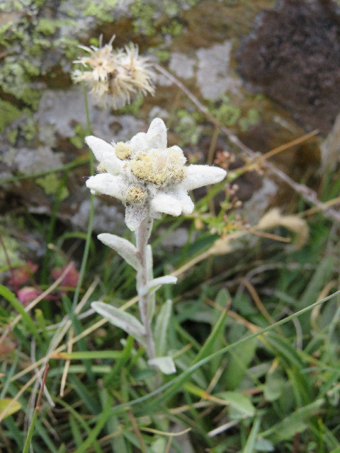 ファイル 5150-3.jpg