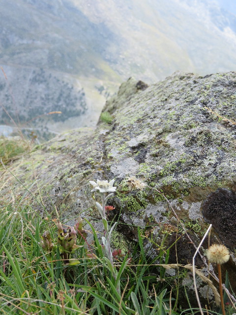 ファイル 5150-4.jpg