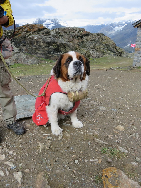 ファイル 5154-2.jpg