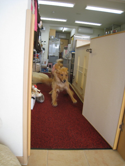 ファイル 516-2.jpg